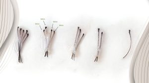 A Complete Guide to Hair Transplant Plugs