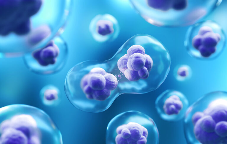 Stem Cells For Hair Loss